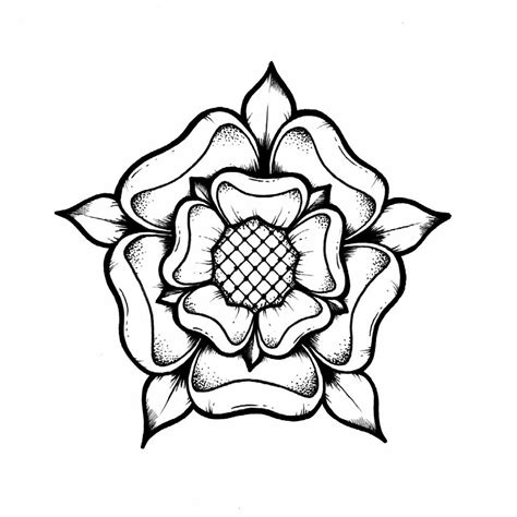 tudor rose drawing.